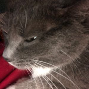 Meet your Posher, Jo ann